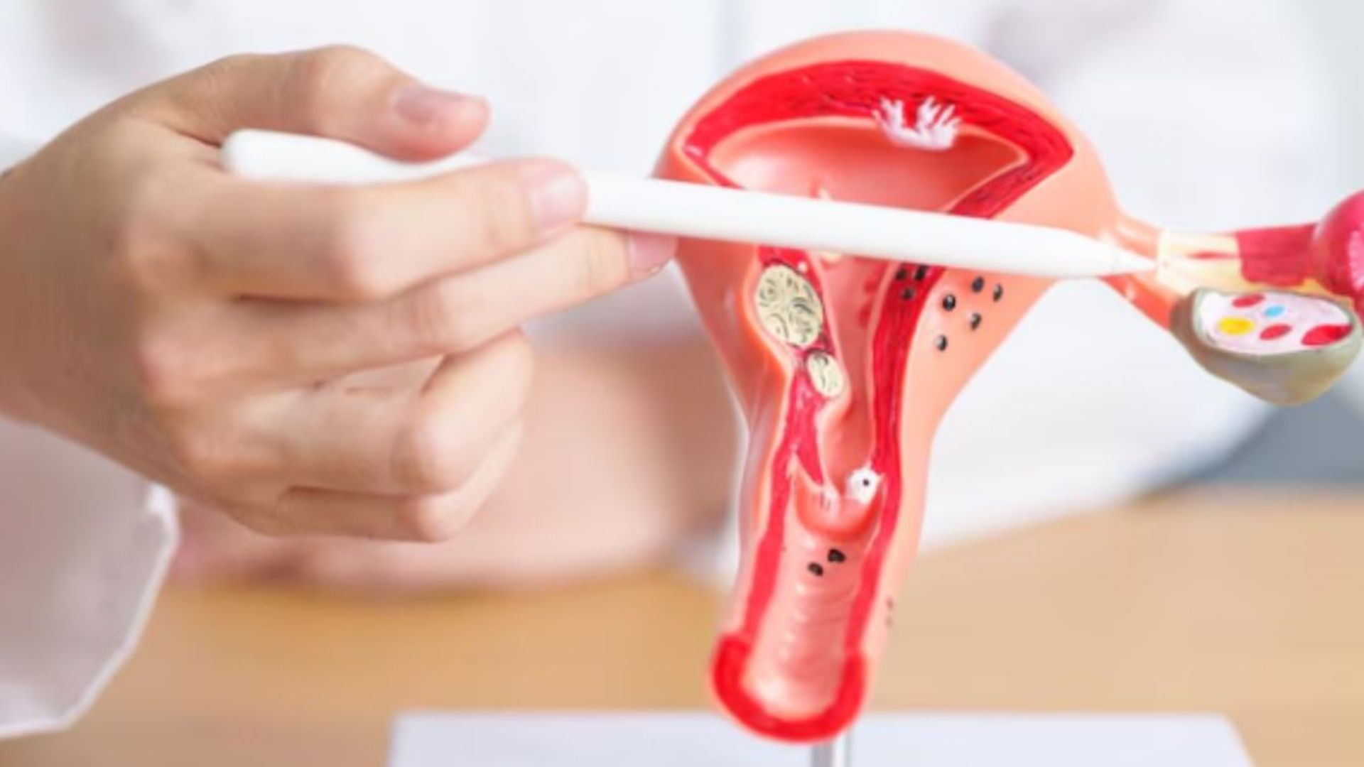 Read more about the article The Basics of In-Vitro Fertilisation (IVF)